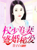 权少追妻，盛婚秘爱