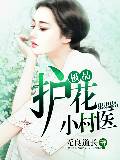 极品护花小村医