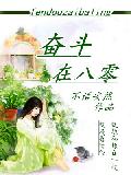 奋斗在八零