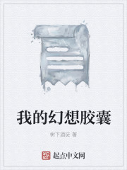 我的幻想胶囊