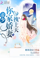 总裁，夫人又征婚了