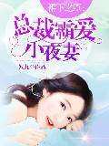 裙下之臣：总裁霸爱小夜妻