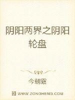 阴阳两界之阴阳轮盘