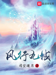 风行九域