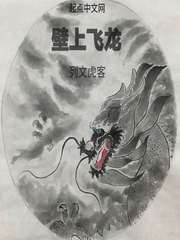 壁上飞龙