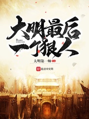 晚明太子朱慈烺小说