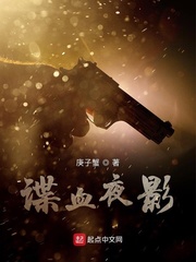 谍血夜影