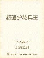 超强护花兵王