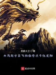 大风起兮云飞扬傲骨浪子化龙翔