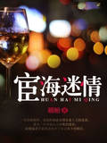 宦海迷情