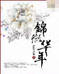 锦微华年